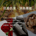 Onion Cap — Walnut